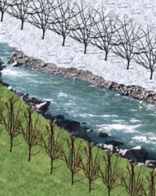 2007_alvarez_jnsci_cover-232x300.gif